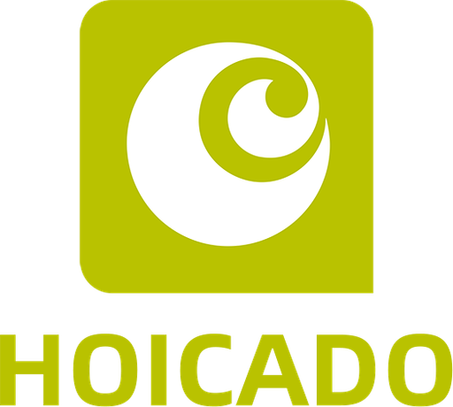vnhoicado.com Logo